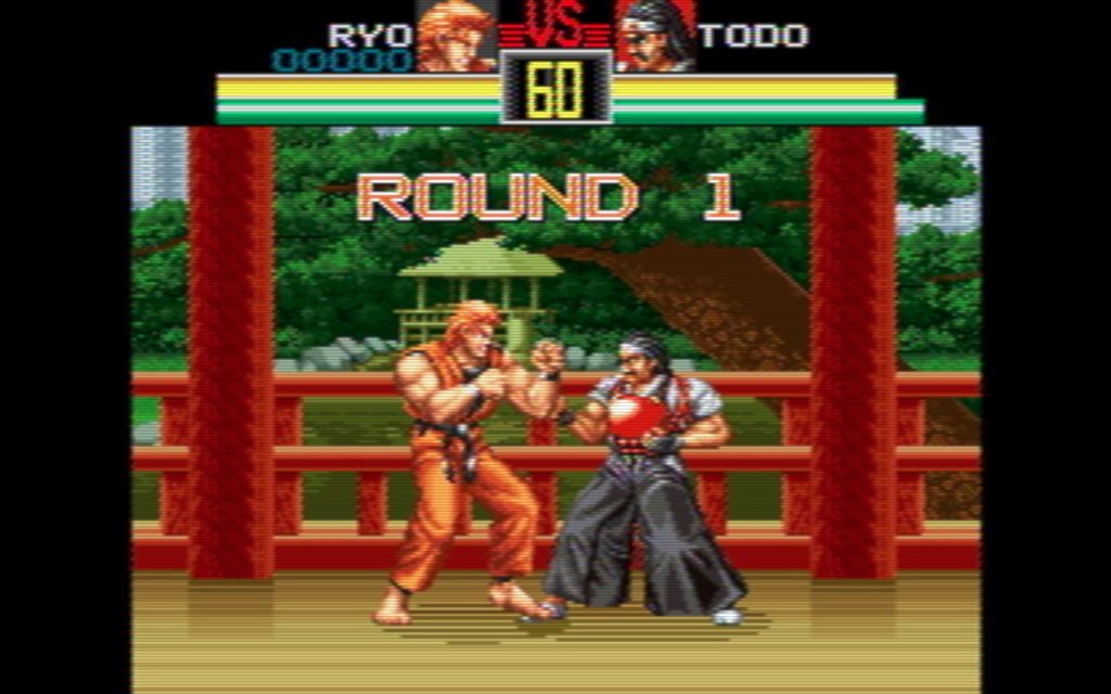 ART OF FIGHTING